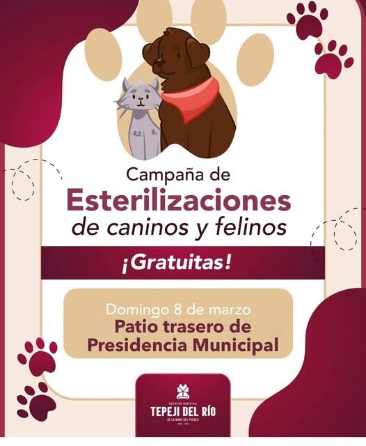 Habrá Campaña de esterilización canina y felina en Tepeji del Río