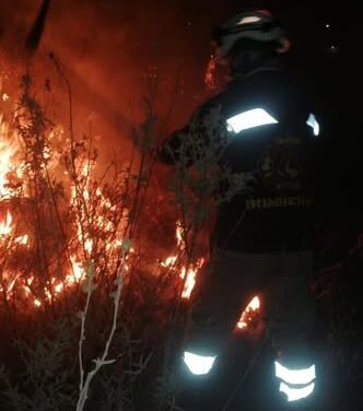 Bomberos Tula atienden reporte de incendio en El Llano