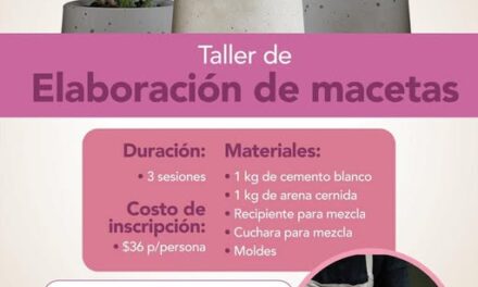 DIF Tepeji invita a participar en el taller de Elaboración de Macetas