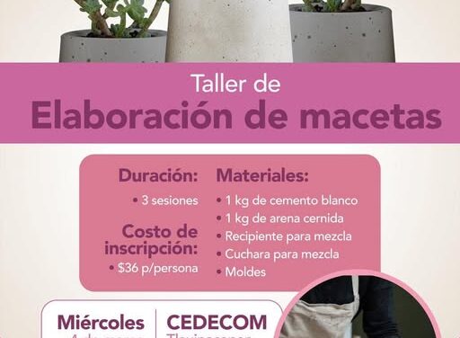 DIF Tepeji invita a participar en el taller de Elaboración de Macetas