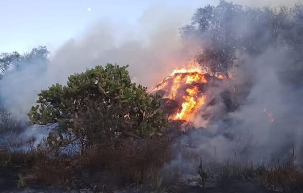 Bomberos Tula controlan incendio registrado en la Zona Arqueológica