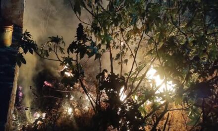 Bomberos Tula atiende diversos reportes de incendio en diversos puntos del municipio