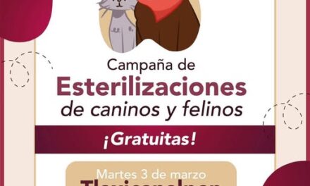 Se lleva a cabo una campaña de esterilización y vacunación antirrábica en Tlaxinacalpan