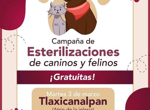 Se lleva a cabo una campaña de esterilización y vacunación antirrábica en Tlaxinacalpan