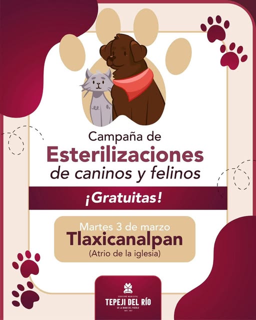 Se lleva a cabo una campaña de esterilización y vacunación antirrábica en Tlaxinacalpan