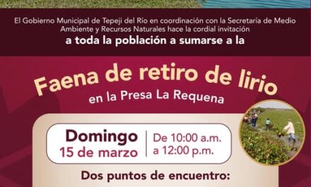 Invitan a participar en la Faena de retiro de lirio acuático en la Presa Requena
