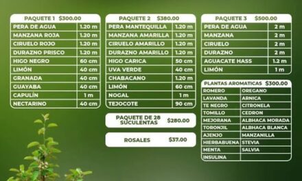 Aprovecha el programa «Sembrando el futuro» con árboles frutales y plantas a bajo costo en Tula de Allende