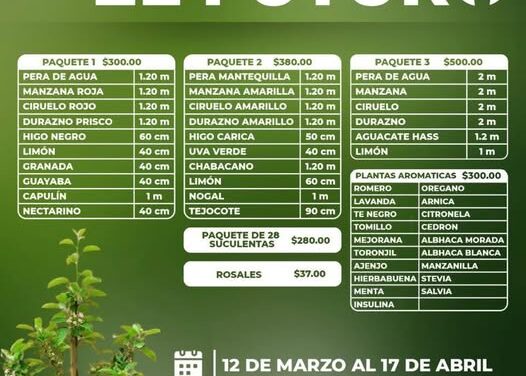 Aprovecha el programa «Sembrando el futuro» con árboles frutales y plantas a bajo costo en Tula de Allende