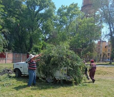 Realzan trabajos de poda en el Infonavit El Cerrito