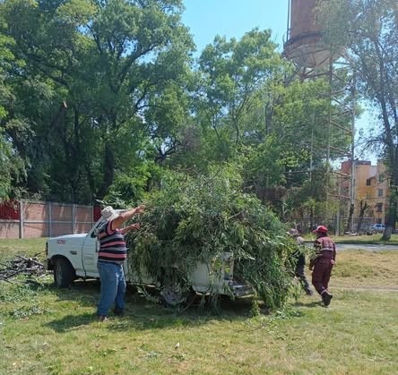 Realzan trabajos de poda en el Infonavit El Cerrito