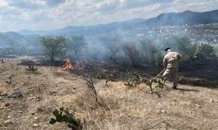 Bomberos atienden reporte de incendio en Tepeji del Río
