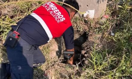 Realizan limpieza de coladeras en zonas de riesgo de Tula de Allende