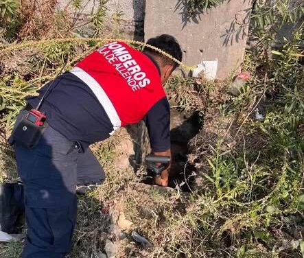 Realizan limpieza de coladeras en zonas de riesgo de Tula de Allende
