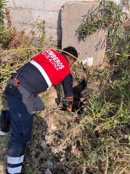 Realizan limpieza de coladeras en zonas de riesgo de Tula de Allende