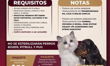 Habra campaña de esterilización canina y felina en Atotonilco de Tula