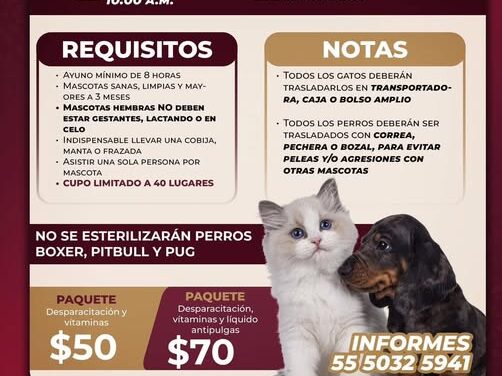 Habra campaña de esterilización canina y felina en Atotonilco de Tula