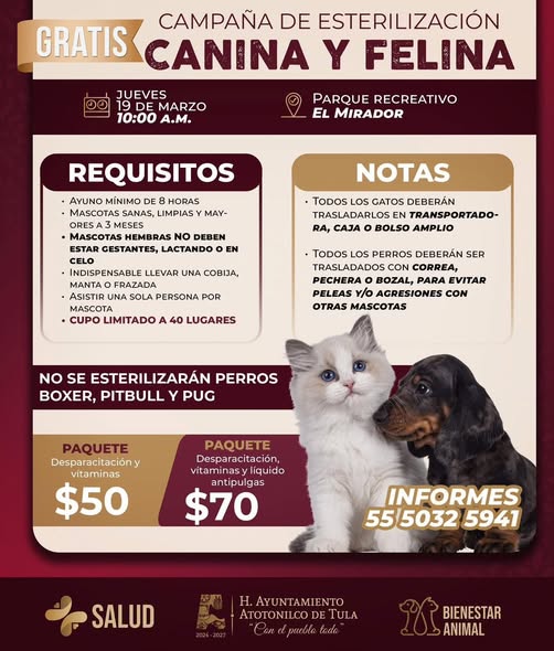 Habra campaña de esterilización canina y felina en Atotonilco de Tula