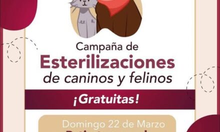 Habrá Campaña de esterilización canina y felina en la Presidencia Municipal de Tepeji del Río