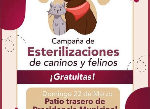 Habrá Campaña de esterilización canina y felina en la Presidencia Municipal de Tepeji del Río