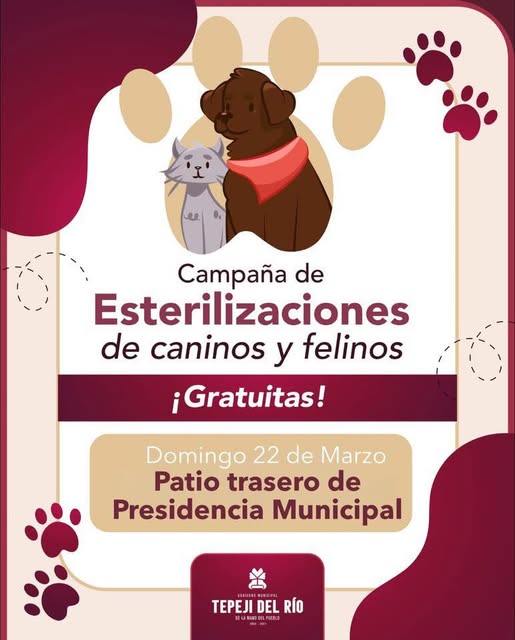 Habrá Campaña de esterilización canina y felina en la Presidencia Municipal de Tepeji del Río