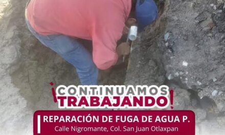 Personal de la CAAMTROH atiende reporte de figa en San Juan Otlaxpa