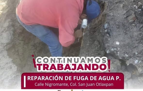 Personal de la CAAMTROH atiende reporte de figa en San Juan Otlaxpa