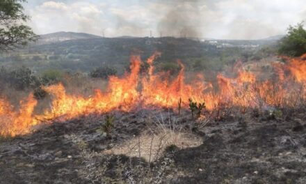 Bomberos Tula atienden reporte de incendio en la comunidad de Pueblo Nuevo
