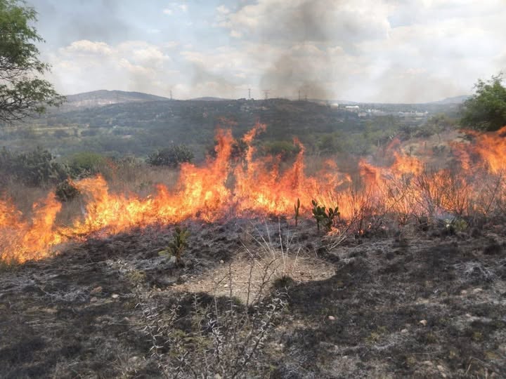 Bomberos Tula atienden reporte de incendio en la comunidad de Pueblo Nuevo