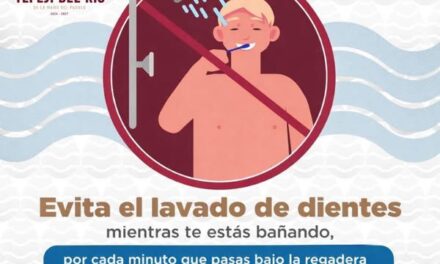 ¿Sabías que evitar cepillarte los dientes mientras te bañas puede ahorrar decenas de litros de agua cada día?