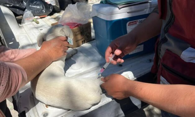 Campaña de Vacunción antirrábica llega a San Ignacio Nopala