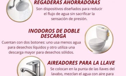 ¿Sabías que con pequeños hábitos diarios puedes lograr un gran impacto y reducir hasta un 60% el consumo de agua en tu hogar?