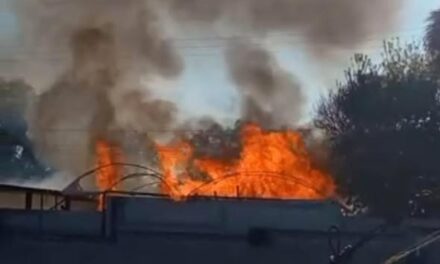 Bomberos Tula atienden reporte de incendio en San Francisco Bojay