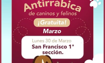 Hoy hay campaña de vacunación antirrábica en la colonia San Francisco