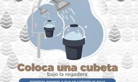 ¿Sabías que pequeñas acciones contribuyen a ahorrar agua en los hogares?
