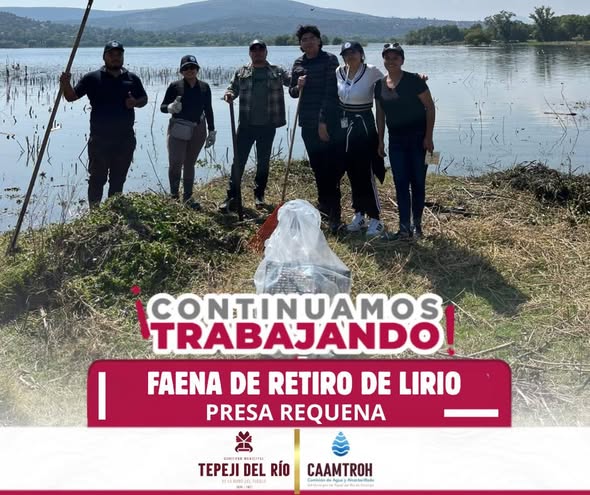 Comisión de Agua Tepeji participa en la faena de retiro de lirio en la Presa Requena