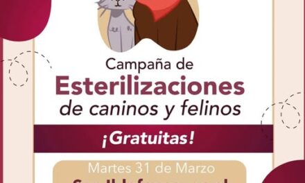 Hoy Martes 31 de Marzo, habrá campaña de esterilización felina y canina en el kiosko de la localidad de San Ildefonso.