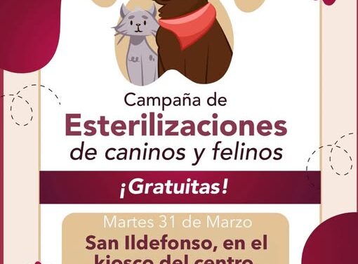 Hoy Martes 31 de Marzo, habrá campaña de esterilización felina y canina en el kiosko de la localidad de San Ildefonso.