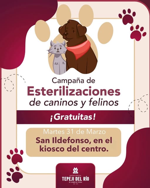 Hoy Martes 31 de Marzo, habrá campaña de esterilización felina y canina en el kiosko de la localidad de San Ildefonso.