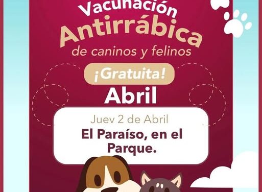 Habrá campaña de vacunación canina y felina en el parque del Fraccionamiento El Paraíso