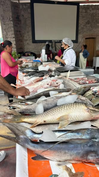 Gobierno de Atotonilco de Tula trabaja de la mano con vendedores de pescado y mariscos