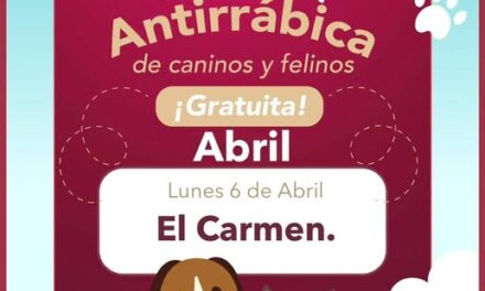 La unidad móvil de Vacunación Antirrábica estará recorriendo la colonia El Carmen en Tepeji del Río