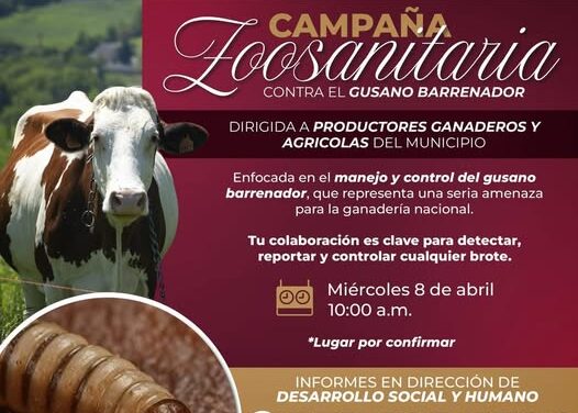 Campaña Zoosanitaria contra el gusano barrenador en Atotonilco de Tula