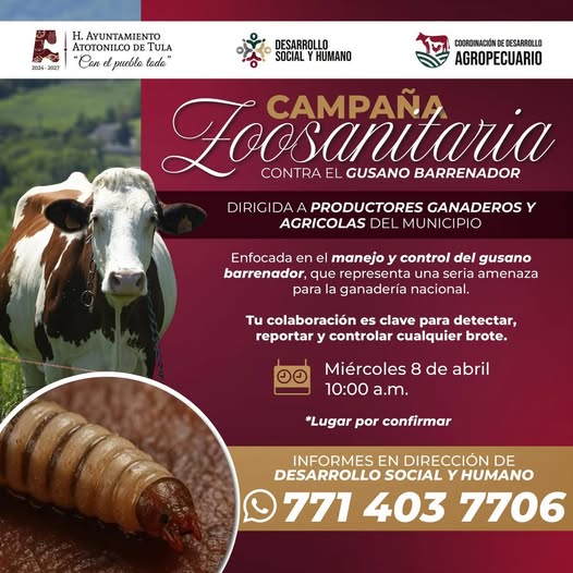 Campaña Zoosanitaria contra el gusano barrenador en Atotonilco de Tula