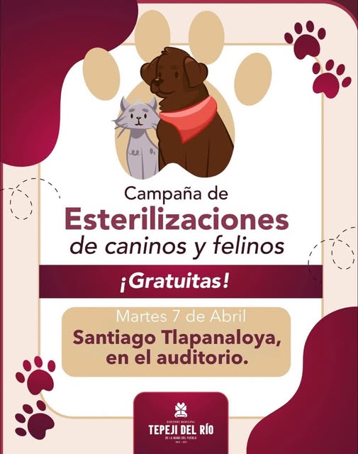 Continúa campaña de esterilización felina y canina en Tepeji del Río