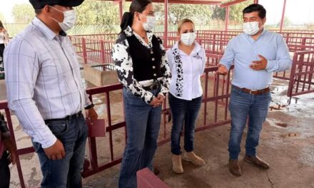 Alcaldesa de Atotonilco El Grande conoce el funcionamiento del rastro municipal de Tepeji del Río