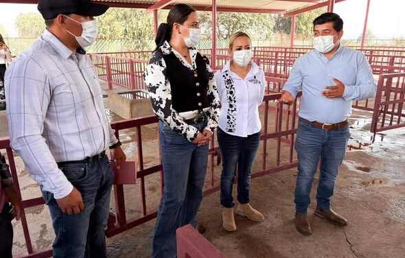 Alcaldesa de Atotonilco El Grande conoce el funcionamiento del rastro municipal de Tepeji del Río