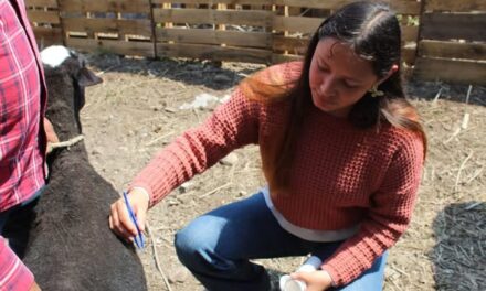 Realizan jornada de información en Atotonilco de Tula, enfocada en el manejo y control del gusano barrenador