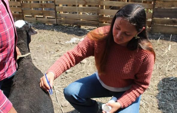 Realizan jornada de información en Atotonilco de Tula, enfocada en el manejo y control del gusano barrenador