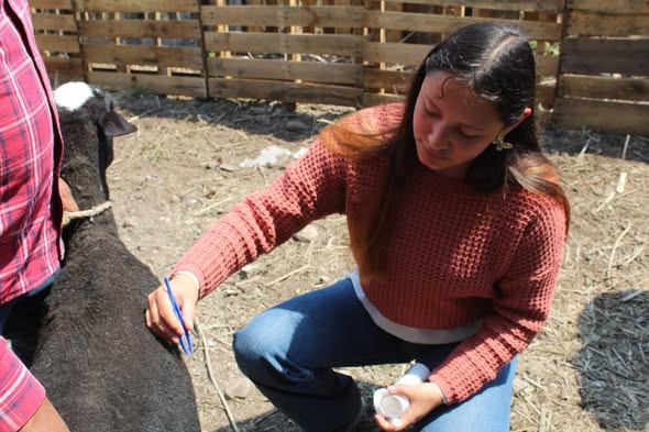 Realizan jornada de información en Atotonilco de Tula, enfocada en el manejo y control del gusano barrenador