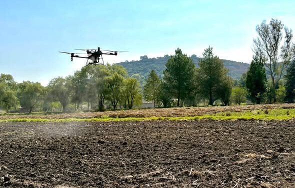 Realizan primera aplicación de herbicida mediante el uso de dron agrícola en Tepeji